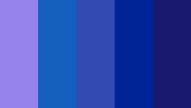 indigo rengi nedir