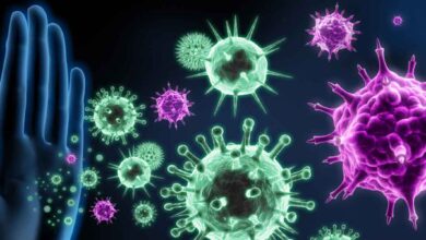 bağışıklık sistemi nasıl korunmalı